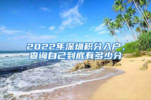 2022年深圳积分入户，查询自己到底有多少分