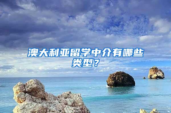 澳大利亚留学中介有哪些类型？