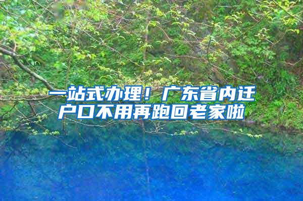 一站式办理！广东省内迁户口不用再跑回老家啦