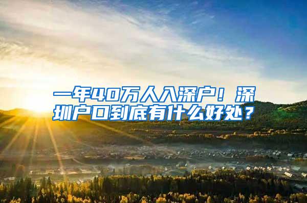 一年40万人入深户！深圳户口到底有什么好处？