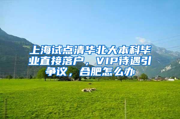 上海试点清华北大本科毕业直接落户，VIP待遇引争议，合肥怎么办