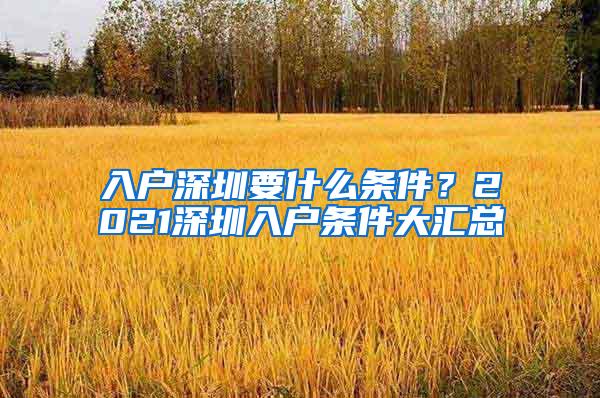 入户深圳要什么条件？2021深圳入户条件大汇总