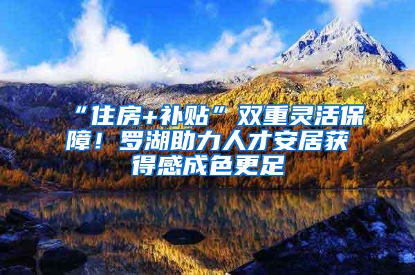 “住房+补贴”双重灵活保障！罗湖助力人才安居获得感成色更足