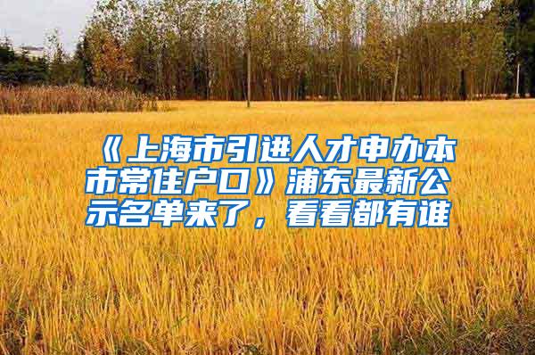 《上海市引进人才申办本市常住户口》浦东最新公示名单来了，看看都有谁