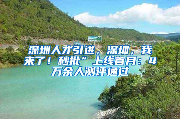 深圳人才引进，深圳，我来了！秒批”上线首月：4万余人测评通过