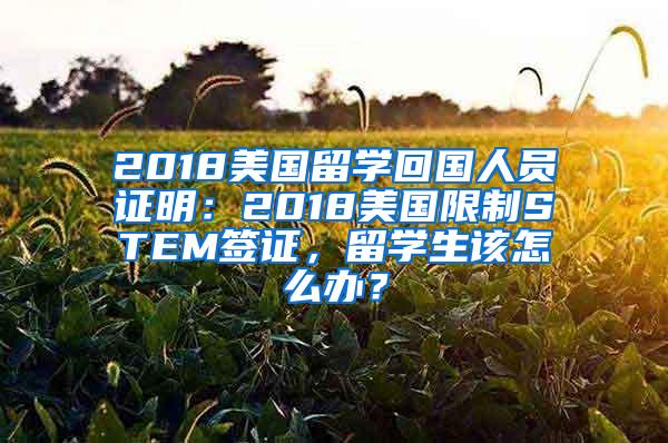 2018美国留学回国人员证明：2018美国限制STEM签证，留学生该怎么办？