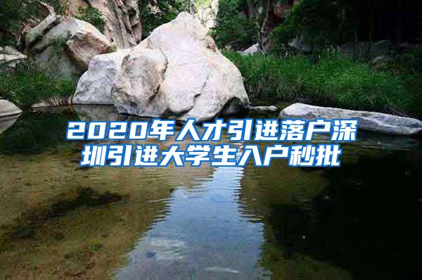 2020年人才引进落户深圳引进大学生入户秒批