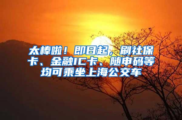 太棒啦！即日起，刷社保卡、金融IC卡、随申码等均可乘坐上海公交车