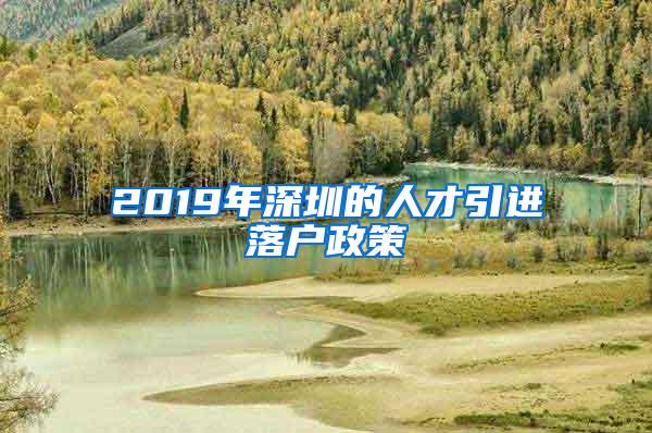 2019年深圳的人才引进落户政策