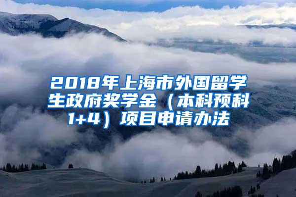 2018年上海市外国留学生政府奖学金（本科预科1+4）项目申请办法