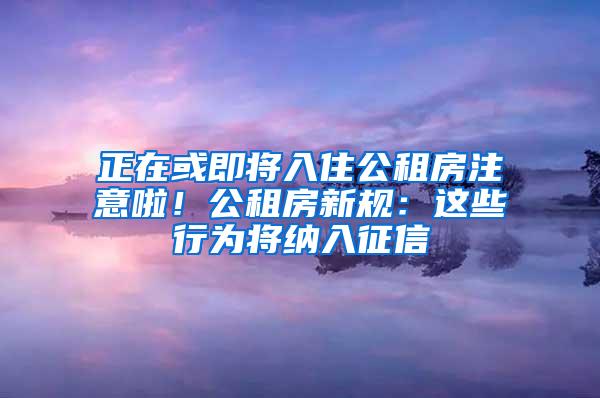 正在或即将入住公租房注意啦！公租房新规：这些行为将纳入征信