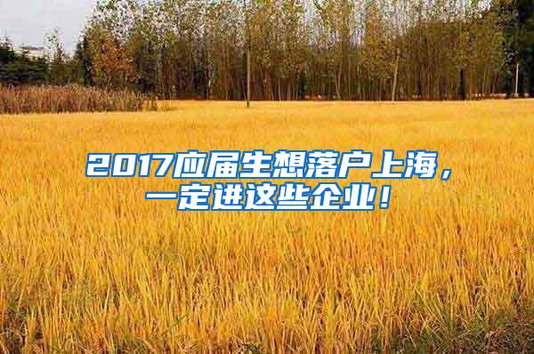 2017应届生想落户上海，一定进这些企业！