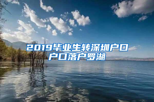 2019毕业生转深圳户口户口落户罗湖