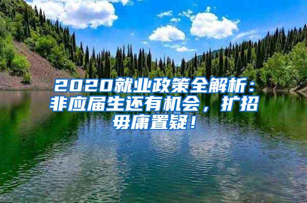 2020就业政策全解析：非应届生还有机会，扩招毋庸置疑！