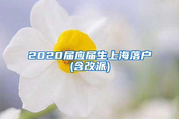 2020届应届生上海落户(含改派)