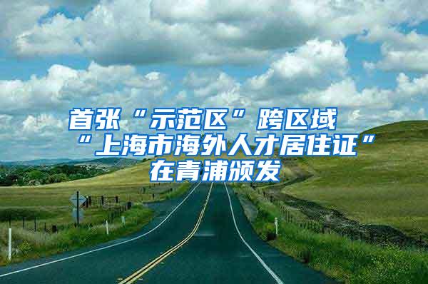 首张“示范区”跨区域“上海市海外人才居住证”在青浦颁发