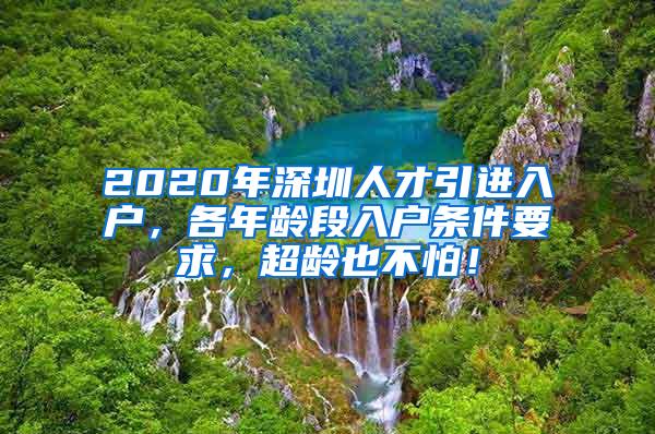 2020年深圳人才引进入户，各年龄段入户条件要求，超龄也不怕！