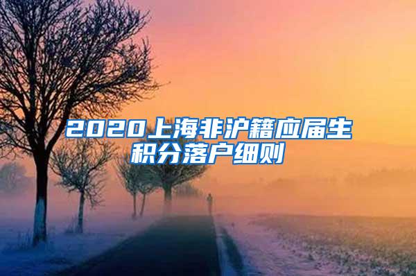 2020上海非沪籍应届生积分落户细则