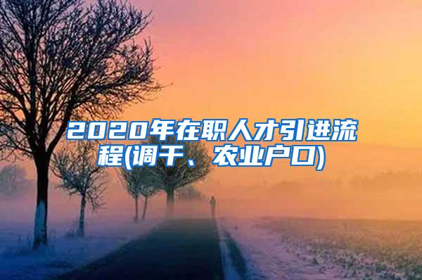 2020年在职人才引进流程(调干、农业户口)