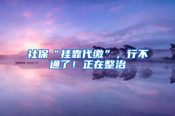 社保“挂靠代缴”，行不通了！正在整治