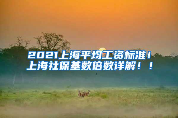 2021上海平均工资标准！上海社保基数倍数详解！！