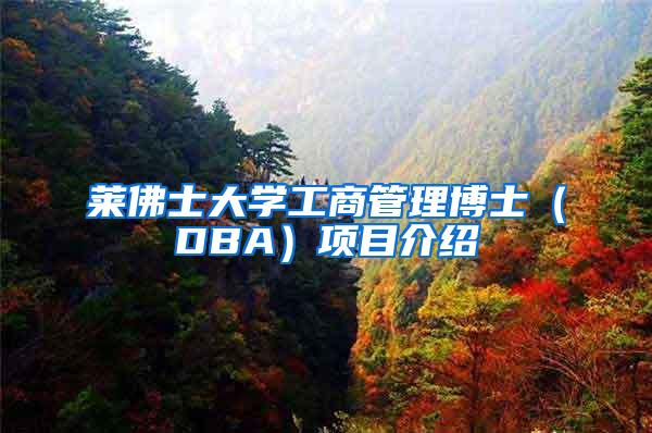 莱佛士大学工商管理博士（DBA）项目介绍