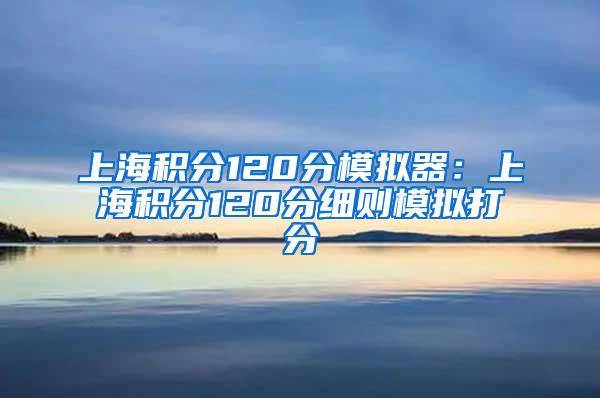 上海积分120分模拟器：上海积分120分细则模拟打分