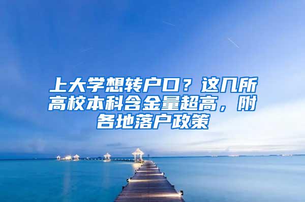 上大学想转户口？这几所高校本科含金量超高，附各地落户政策