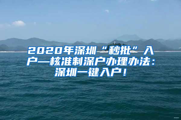 2020年深圳“秒批”入户—核准制深户办理办法：深圳一键入户！