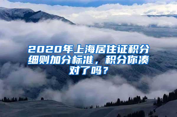 2020年上海居住证积分细则加分标准，积分你凑对了吗？