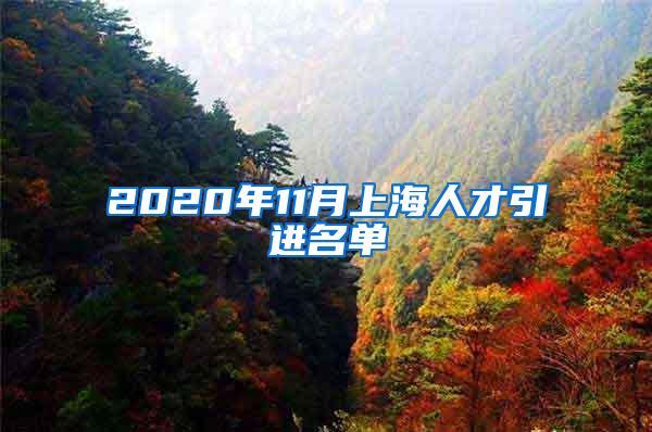 2020年11月上海人才引进名单