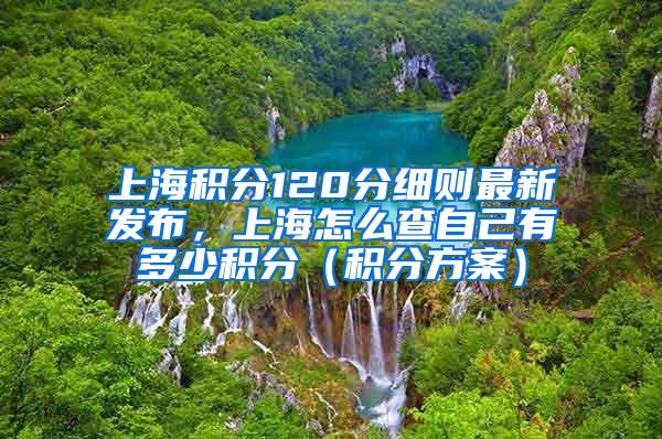 上海积分120分细则最新发布，上海怎么查自己有多少积分（积分方案）