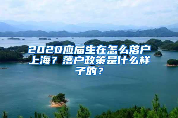 2020应届生在怎么落户上海？落户政策是什么样子的？