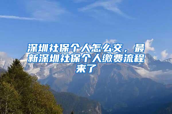 深圳社保个人怎么交，最新深圳社保个人缴费流程来了