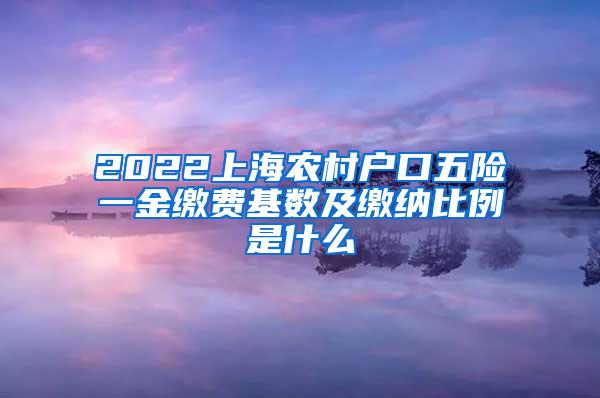 2022上海农村户口五险一金缴费基数及缴纳比例是什么