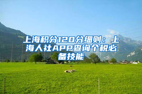 上海积分120分细则：上海人社APP查询个税必备技能