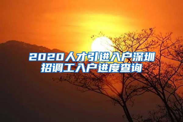 2020人才引进入户深圳招调工入户进度查询