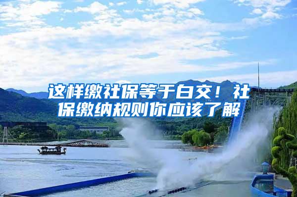 这样缴社保等于白交！社保缴纳规则你应该了解