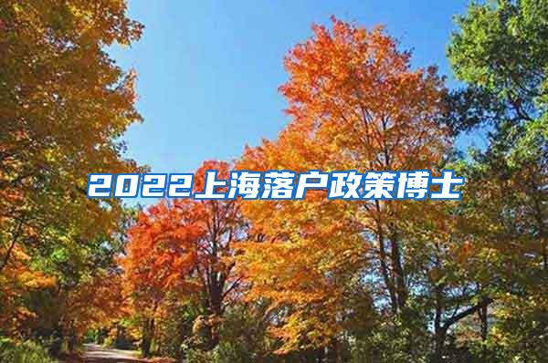 2022上海落户政策博士