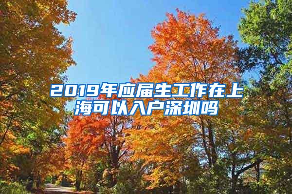 2019年应届生工作在上海可以入户深圳吗