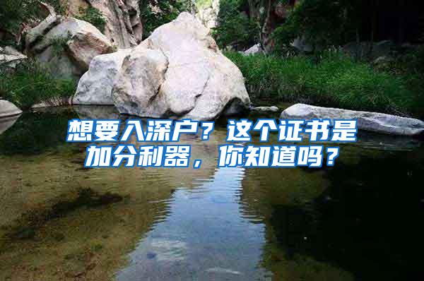 想要入深户？这个证书是加分利器，你知道吗？