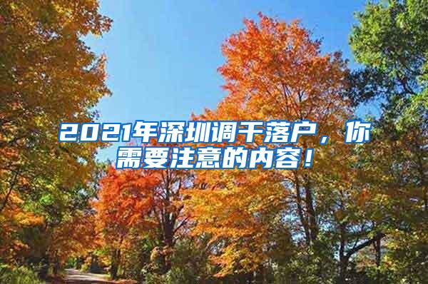 2021年深圳调干落户，你需要注意的内容！