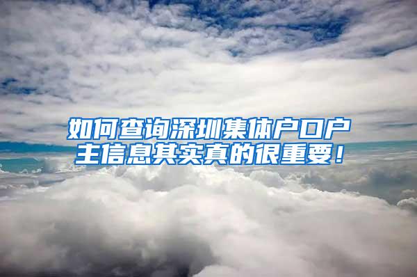 如何查询深圳集体户口户主信息其实真的很重要！