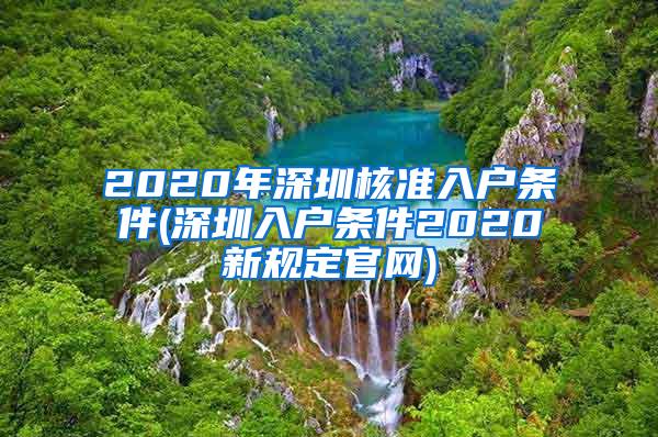 2020年深圳核准入户条件(深圳入户条件2020新规定官网)