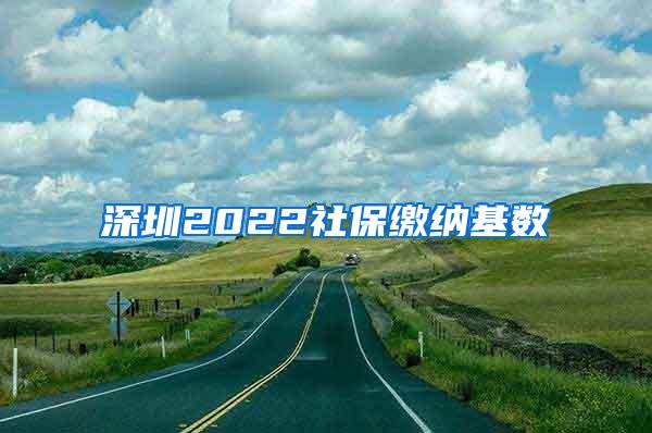 深圳2022社保缴纳基数