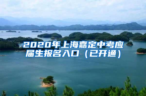 2020年上海嘉定中考应届生报名入口（已开通）