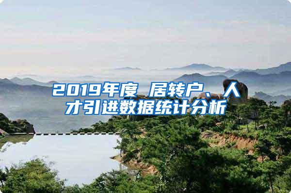 2019年度 居转户、人才引进数据统计分析