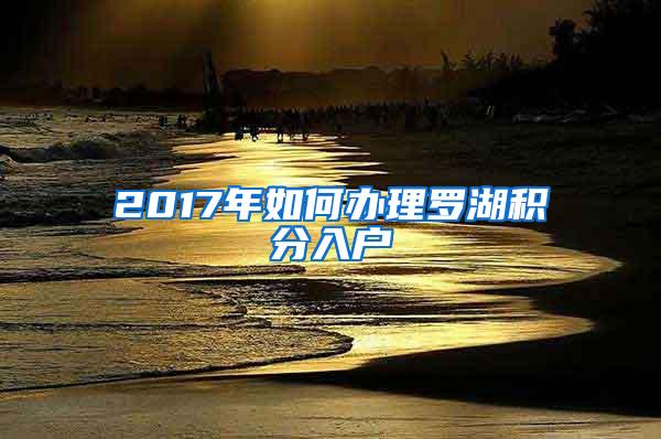 2017年如何办理罗湖积分入户