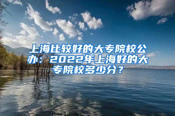 上海比较好的大专院校公办：2022年上海好的大专院校多少分？