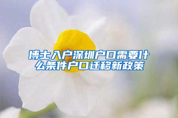 博士入户深圳户口需要什么条件户口迁移新政策